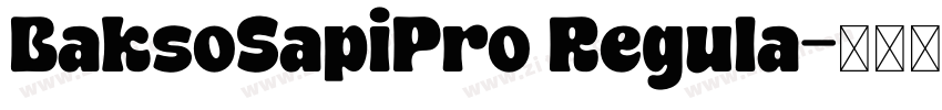 BaksoSapiPro Regula字体转换